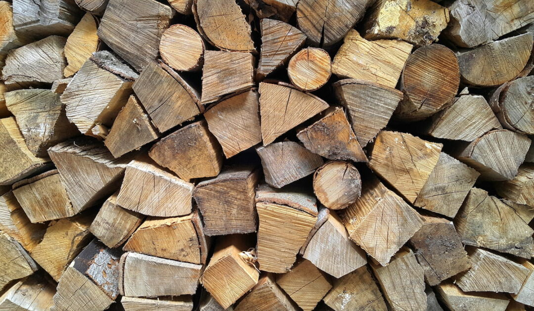 3 Reasons You Should Not Store Firewood in Your Garage DIY All Day
