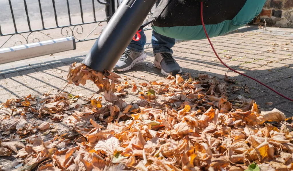 leaf vaccum