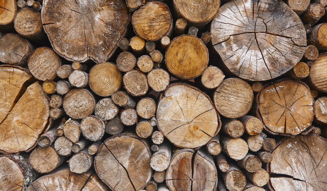3 Reasons You Should Not Store Firewood in Your Garage DIY All Day