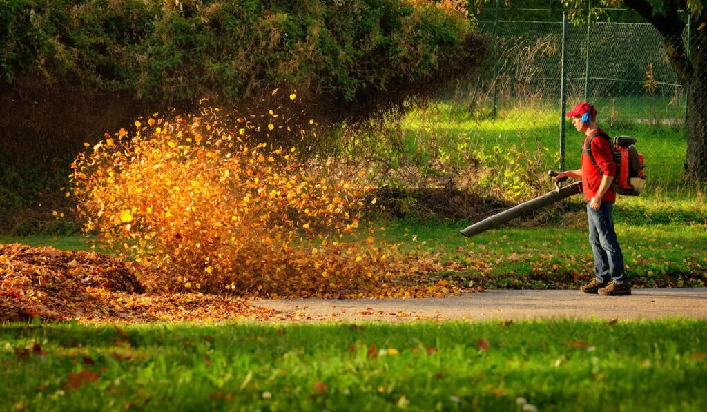 young lad using a leaf blower