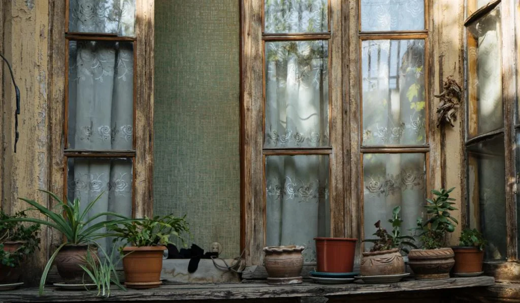 Old wooden window with flower pots