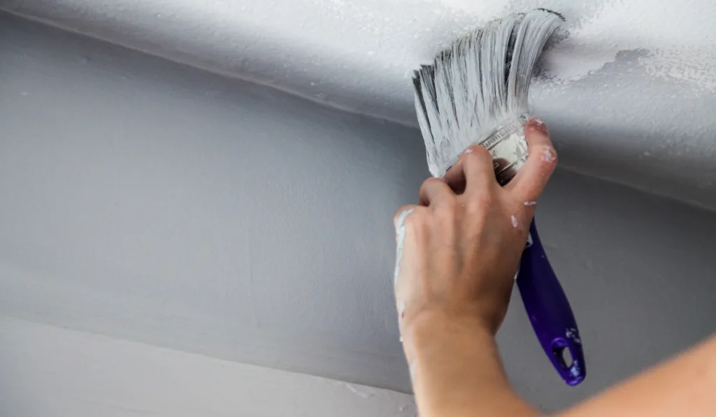 Painting the Edges of the Ceiling
