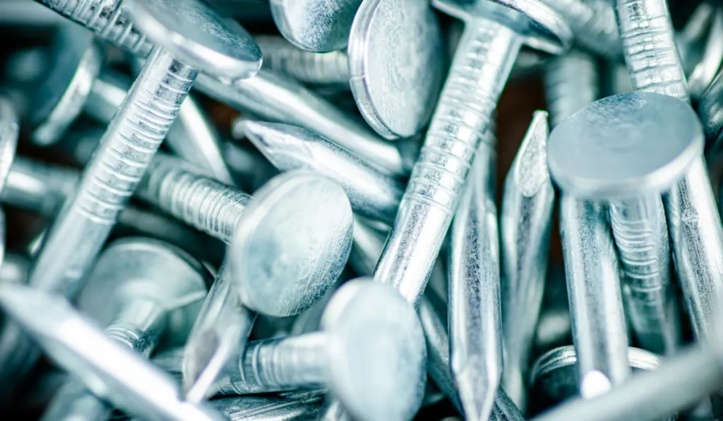 A pile of roofing nails