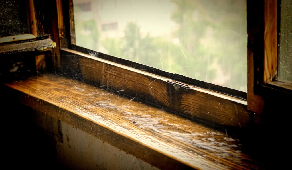 Raindrops breaking on old wooden window