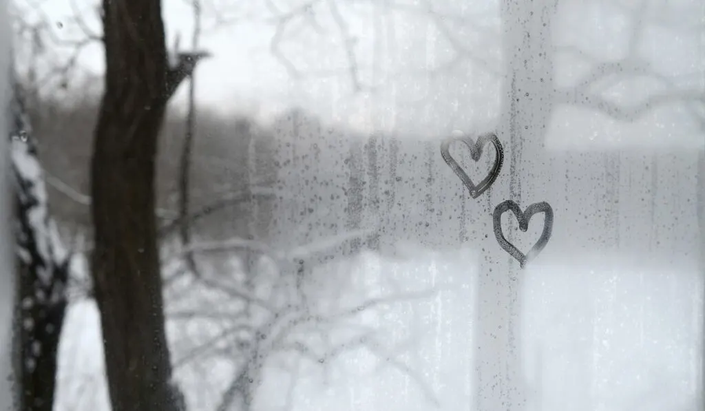 Two hearts painted on a misted glass in winter

