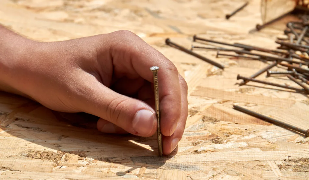 Young hand holding the nail