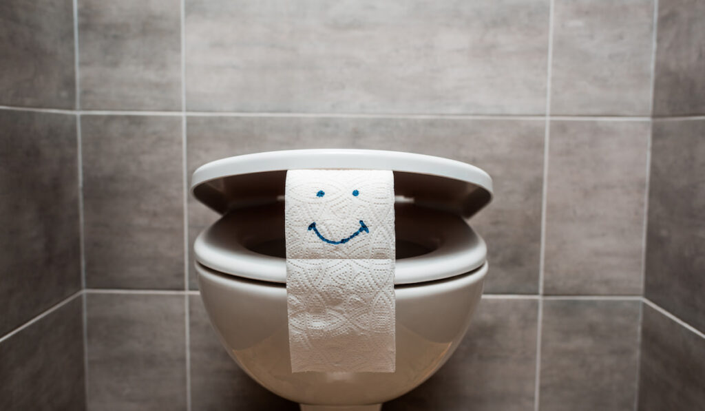 ceramic clean toilet bowl and toilet paper with smiley face in modern restroom