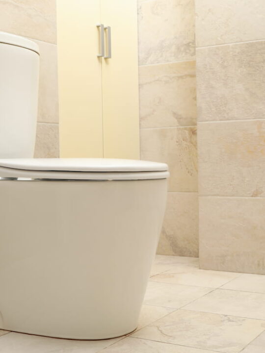 toilet-bowl-in-modern-bathroom-in-light-beige-color-ee220522