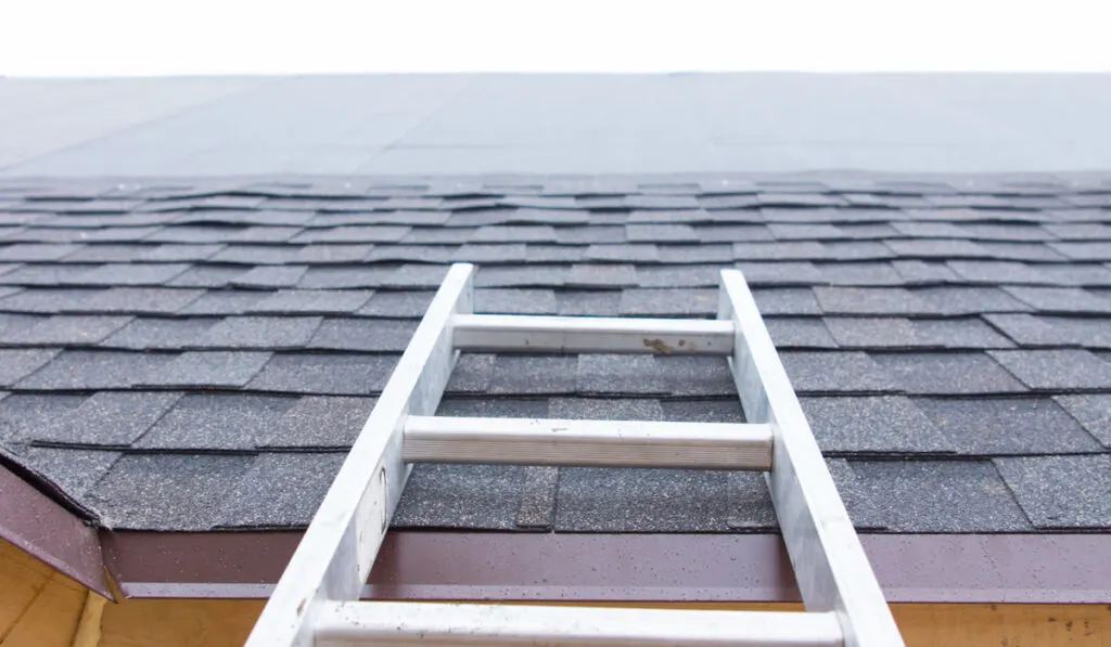 A ladder leading to unfinished roof on a new house 