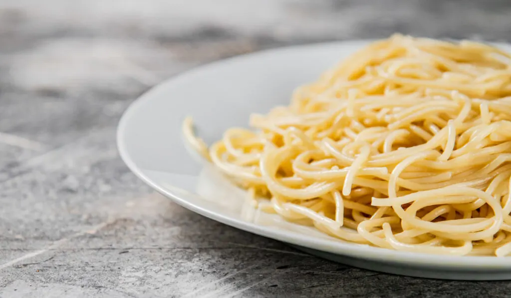 Boiled spaghetti on a plate. On a gray background.