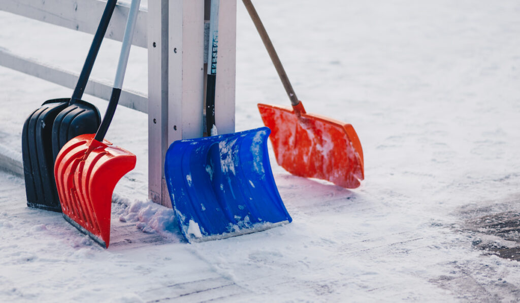 Colourful four plastic snow shovels stand on snow.
