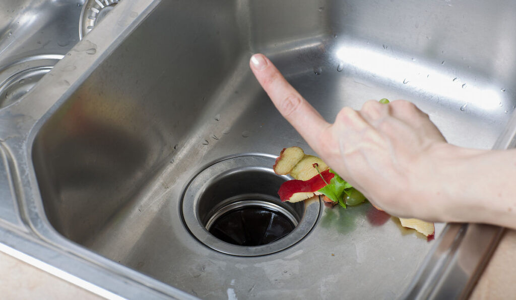 Food waste, apple peels left in a sink, hand gesture showing not to put on garbage disposal