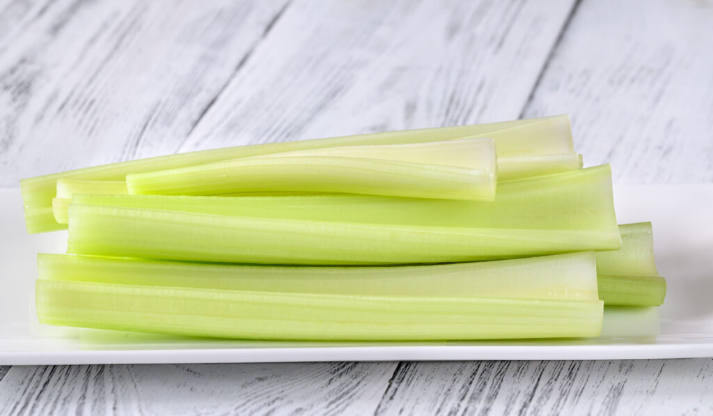 Fresh stalks of leaf celery on white plate

