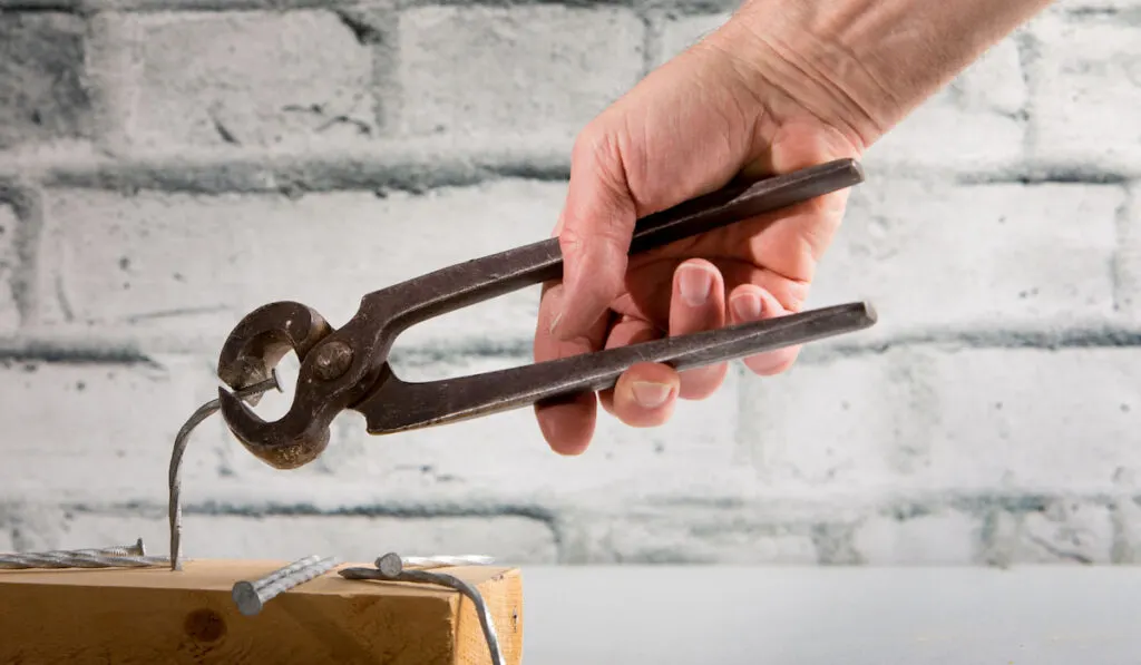 Nail puller plier pulling a bent nail with brick background