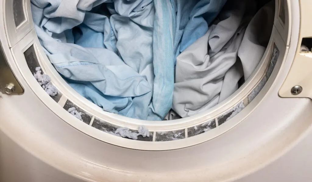 lint from fabric trapped on laundry dryer filter
