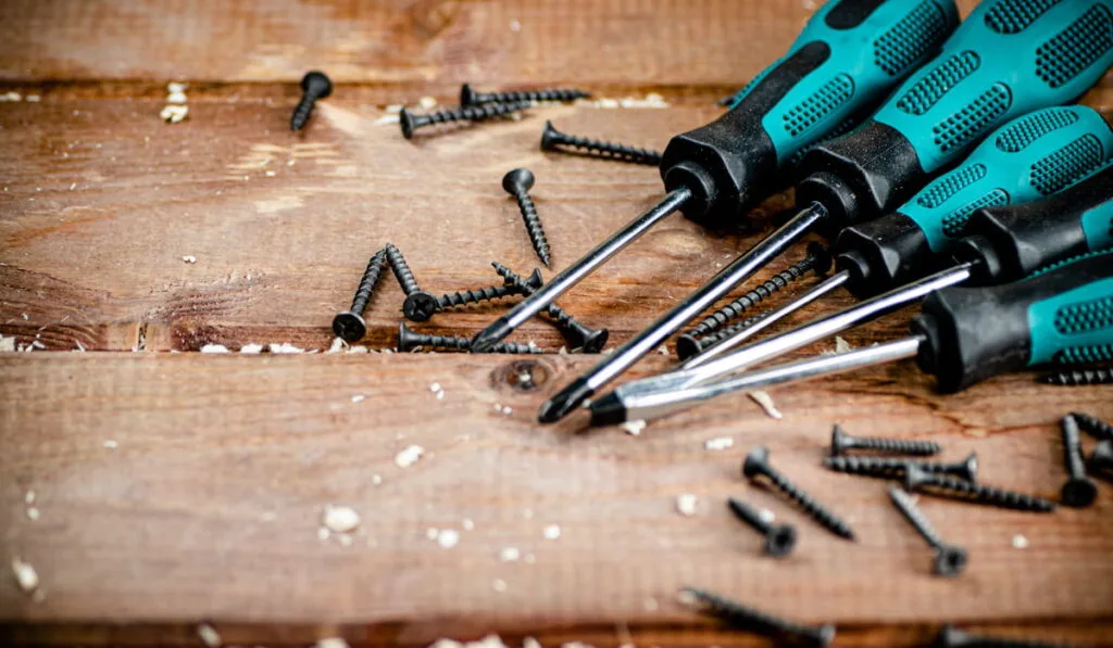 screwdriver with a bunch of self tapping screw