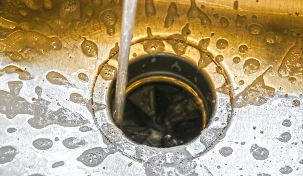  spraying into a garbage disposal in stainless steel sink with water