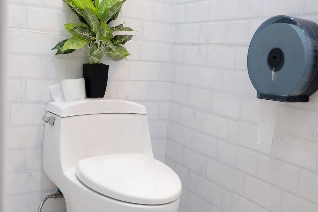 white modern single piece toilet with paper roll, plant on white brick wall background