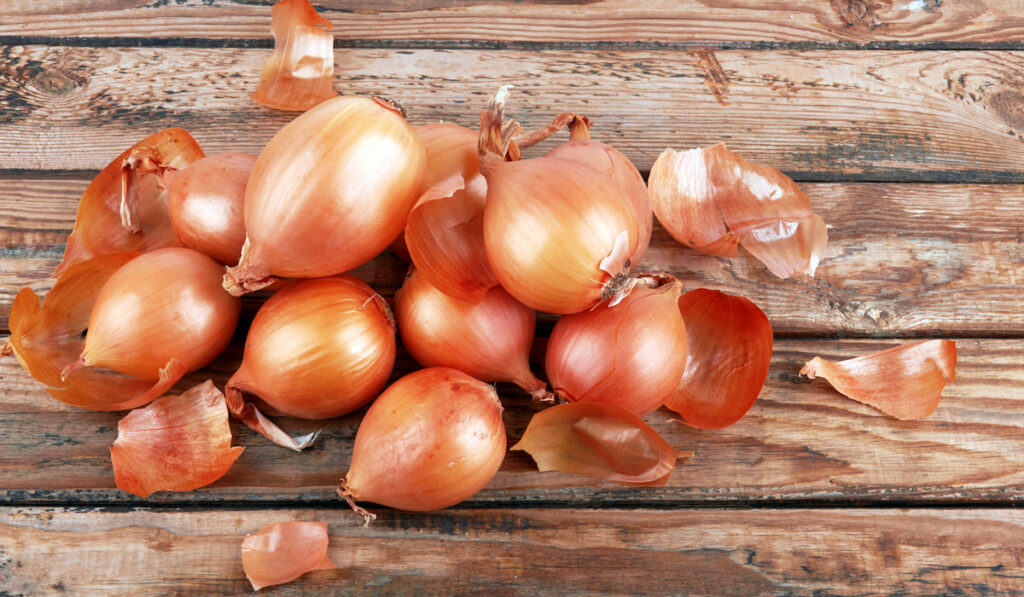 whole onion and onion skin on wooden background