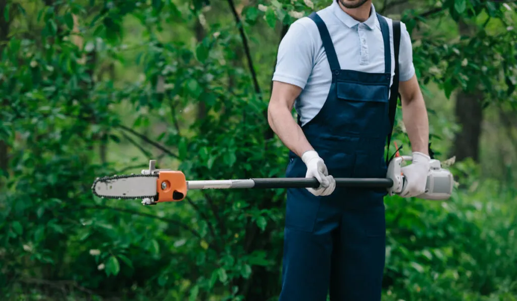cropped view of gardener in overalls holding pole saw in garden