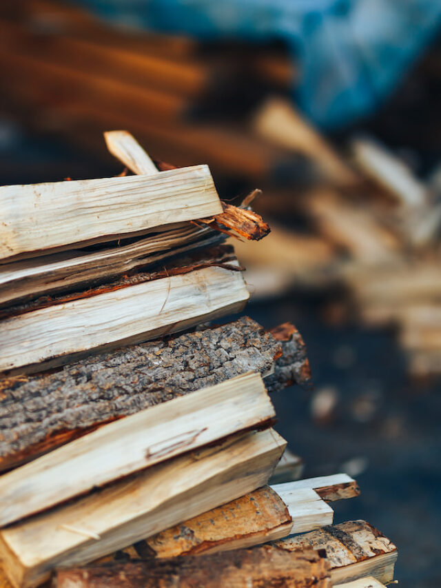 3 Reasons You Should Not Store Firewood in Your Garage DIY All Day