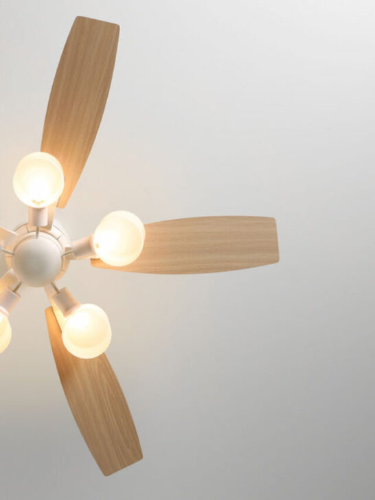 Modern ceiling fan with lamps indoors - ss221018