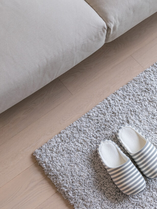 Why Is Your Carpet Wet for No Reason? 11 Possible Causes