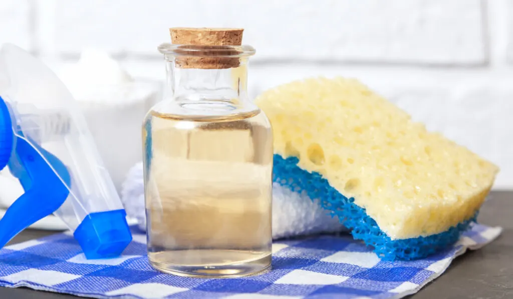 Apple cider vinegar in a bottle, spray, cloth and sponge on the table