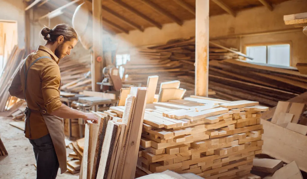 Carpenter worker choosing raw wood material for the work