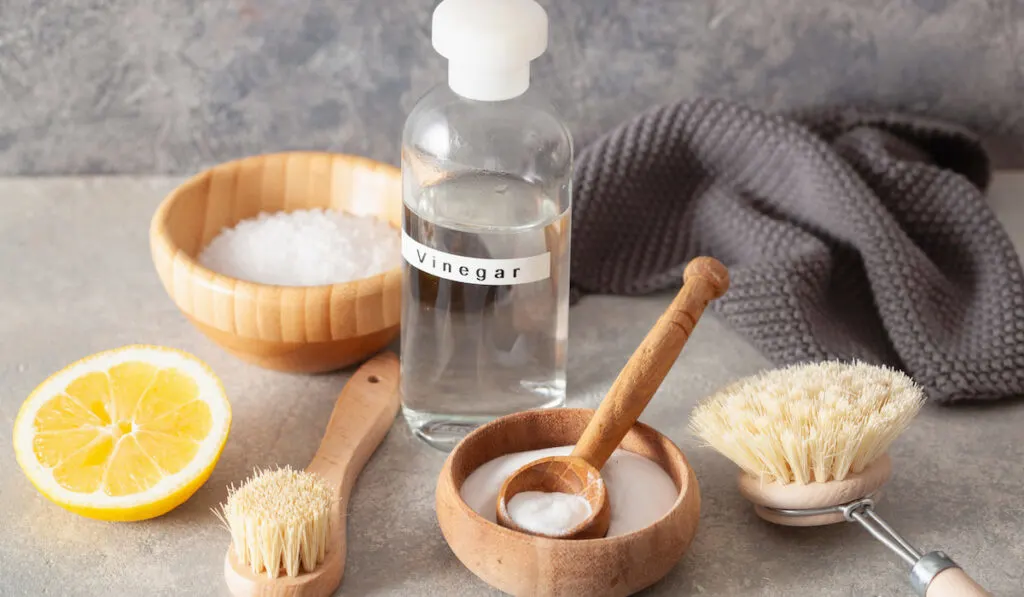 Vinegar, brushes, lemon and baking soda, cleaning tool materials