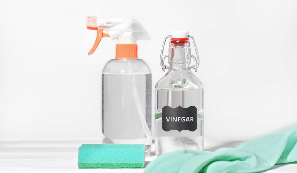 White vinegar for home cleaning, a bottle pray and gloves on the ground