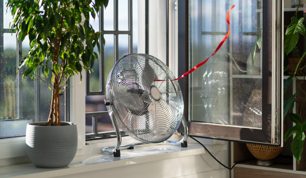 electric fan with red ribbon near potted tree on windowsill