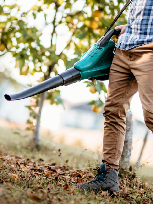 How To Use A Leaf Blower 11 Tips and Tricks DIY All Day